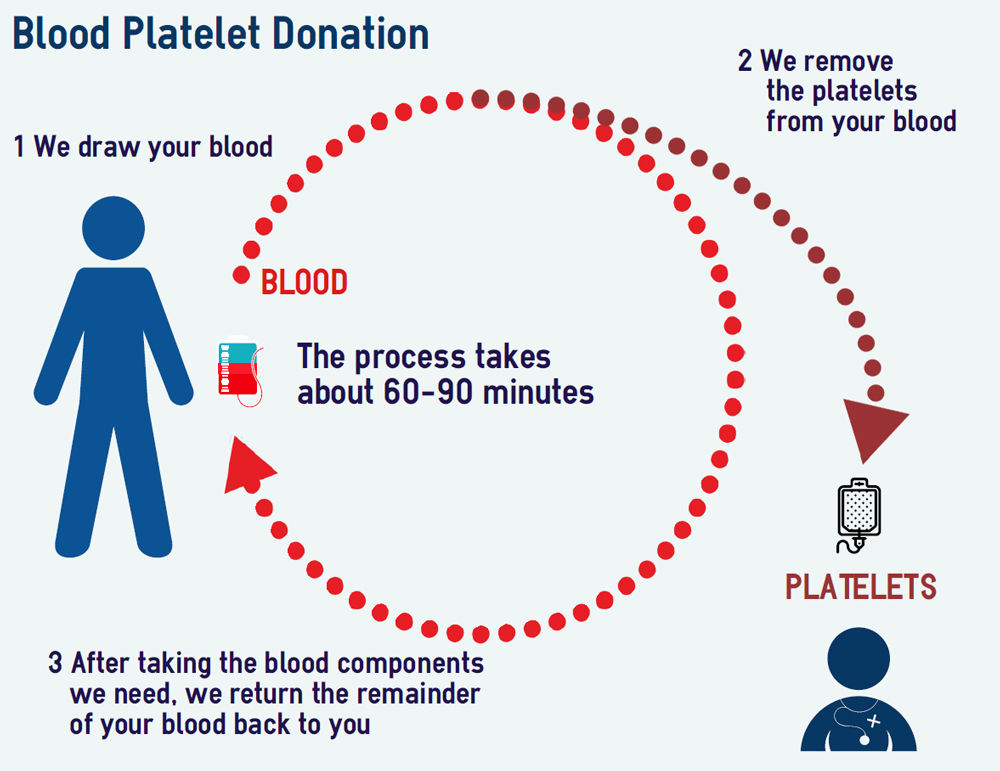 Nhs Blood Donation Weight Chart Blog Dandk