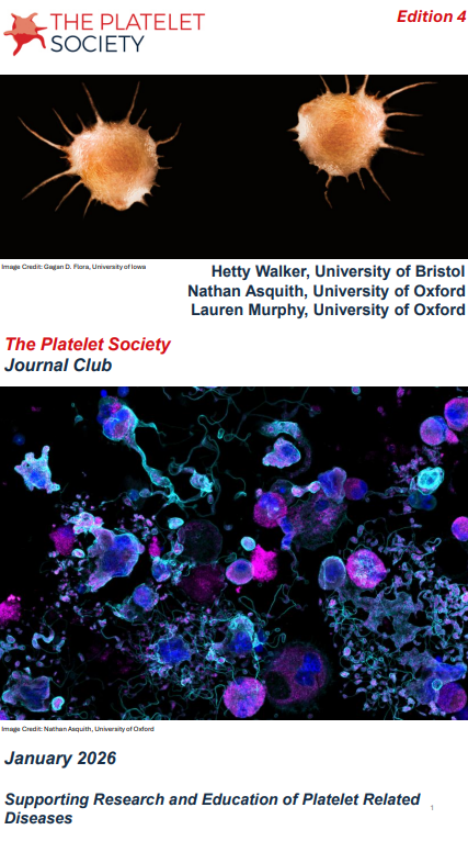 JC Jan image JC Jan image